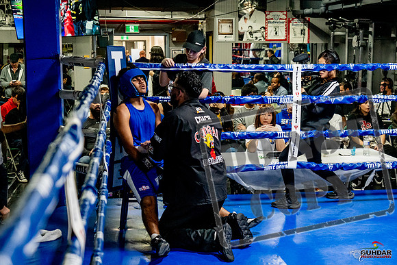 Cougar Boxing Basement Brawl -0617
