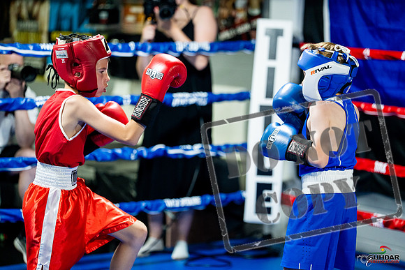 Cougar boxing June 7th 2025-0029