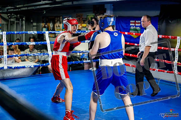 Cougar boxing June 7th 2025-0879