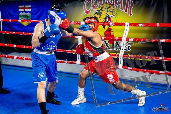 Cougar boxing June 7th 2025-0340