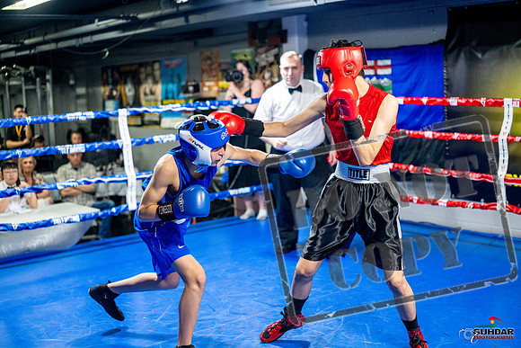 Cougar boxing June 7th 2025-0647