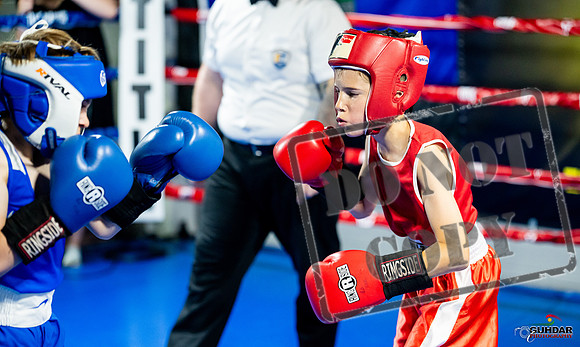 Cougar boxing June 7th 2025-0019