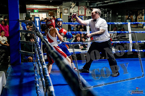 Cougar Boxing Basement Brawl -0324