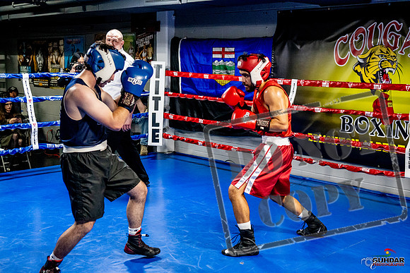 Cougar Boxing Basement Brawl -0386