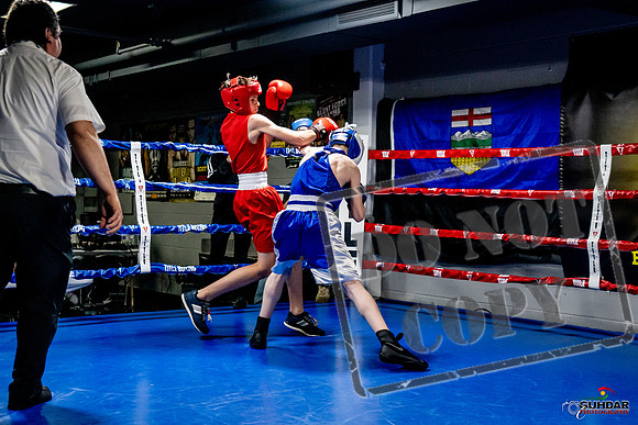 Cougar Boxing Basement Brawl -0186