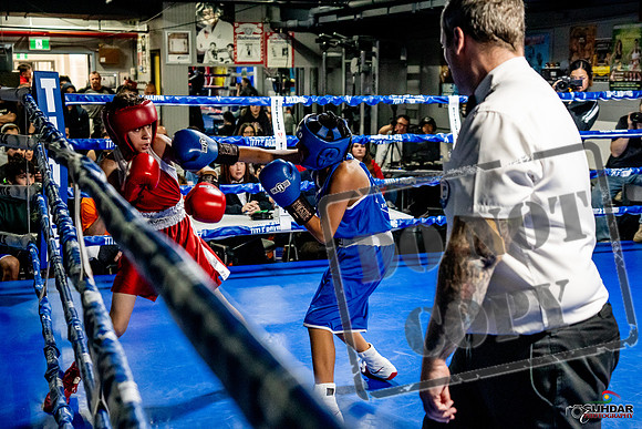 Cougar Boxing Basement Brawl -0323