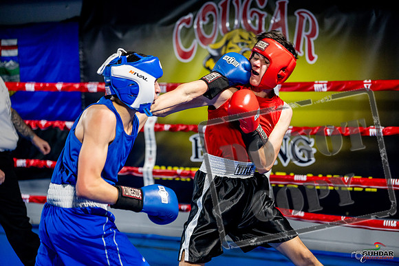Cougar boxing June 7th 2025-0670