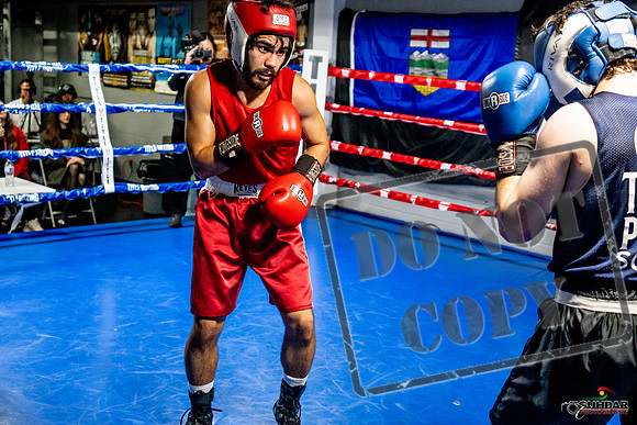 Cougar Boxing Basement Brawl -0417