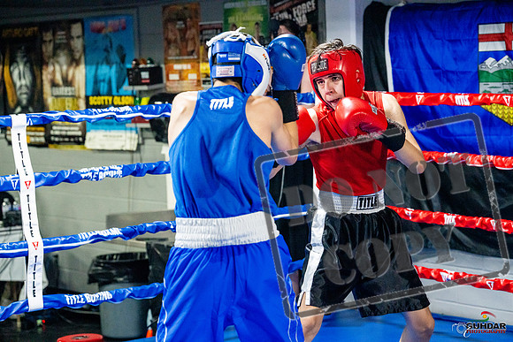 Cougar boxing June 7th 2025-0649