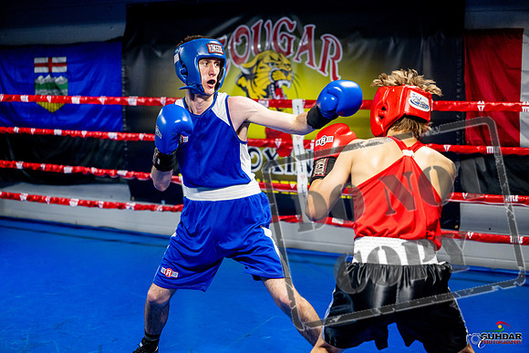 Cougar boxing June 7th 2025-0847