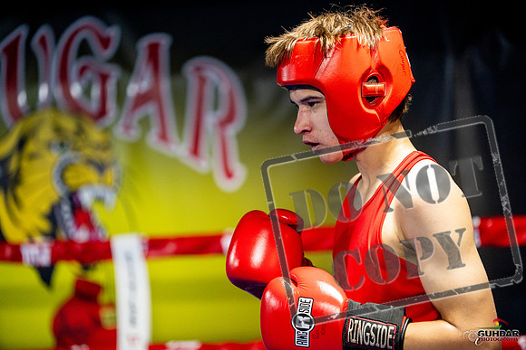 Cougar boxing June 7th 2025-0839