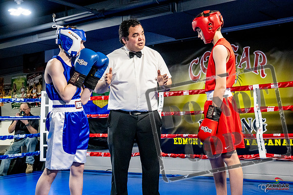 Cougar Boxing Basement Brawl -0174