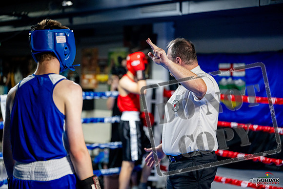 Cougar boxing June 7th 2025-0817