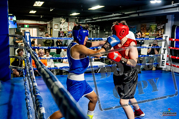 Cougar Boxing Basement Brawl -0528